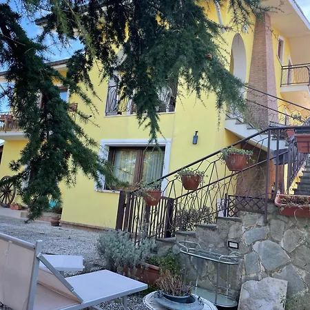 Le Tre Civette - Civetta Lila *
