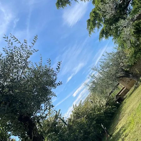 Le Tre Civette - Civetta Lila Holiday home *