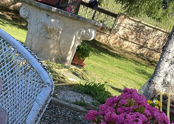 Le Tre Civette - Civetta Lila * Vacri