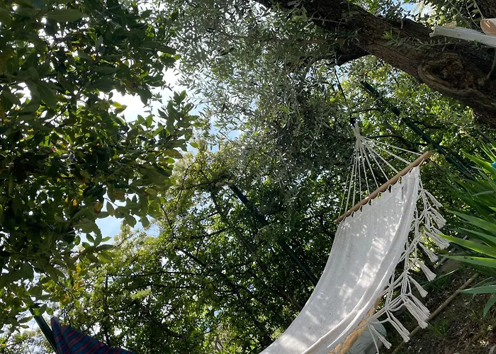 Le Tre Civette - Civetta Lila * Vacri