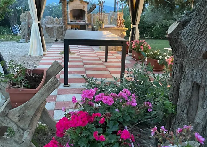 Le Tre Civette - Civetta Lila Vacri